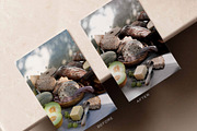Calming Neutrals Lightroom Presets, an Action Add-On by in between details (Thumbnail 8 of 13)