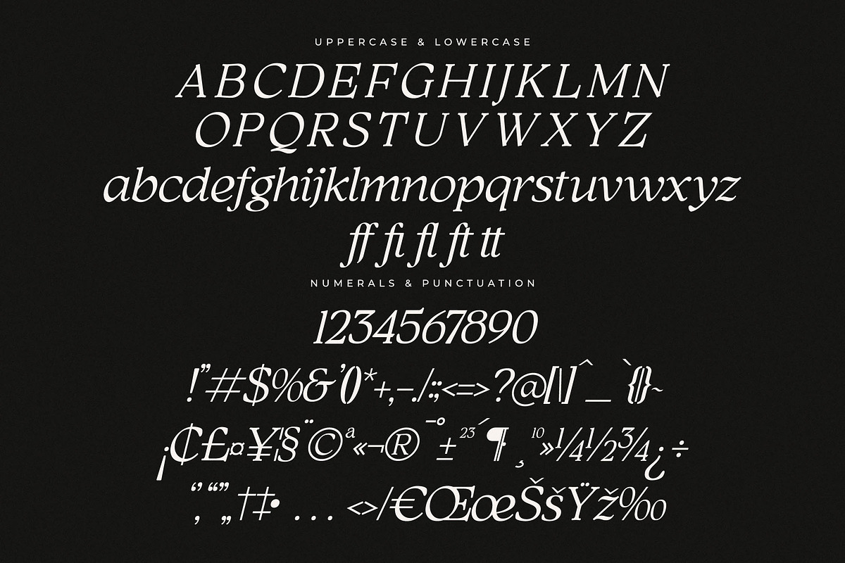 Qimano Modern Humanist Serif, a Serif Font by Letterena Studios (Photo 13 of 15)