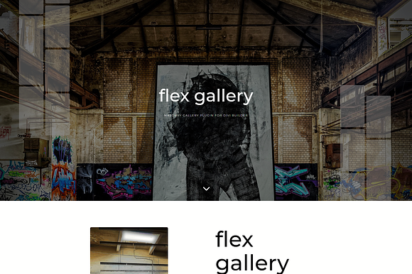 Flex Gallery preview 4