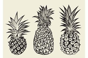 set illustrations of ripe pineapples.