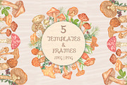 Forest watercolor mushrooms clipart, a Seasonal Illustration by Irina Avdeeva (Thumbnail 6 of 12)