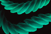 Plumage Atelier. Procreate Brushes, a Brush Add-On by Eldar Zakirov's (Thumbnail 18 of 25)