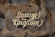 Medallion Script, a Script Font by Unicode Studio (Thumbnail 7 of 12)