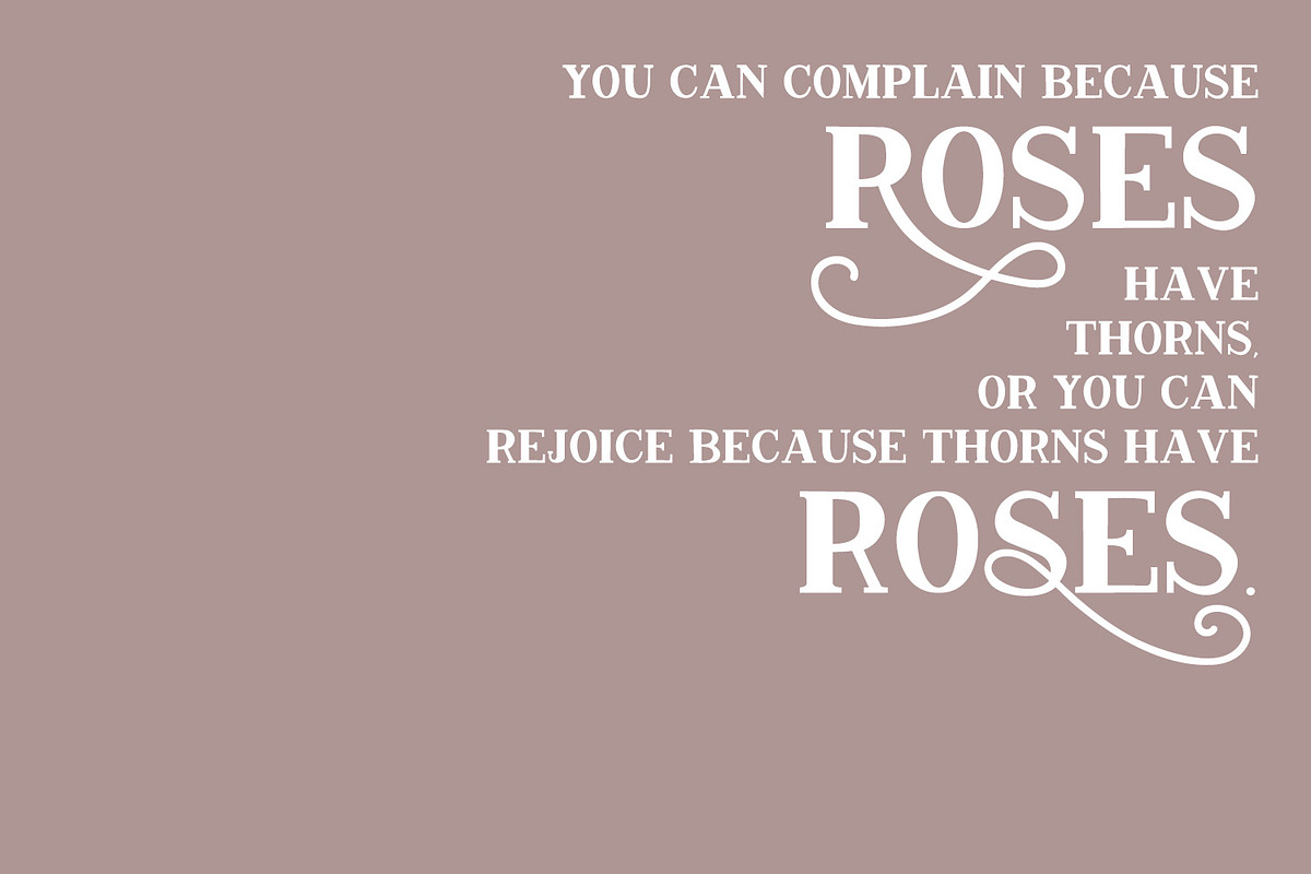 Conquistador Serif with Flourishes, a Serif Font by Beck McCormick (Photo 4 of 6)