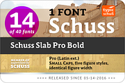 SchussSlabProBold No.14 (1 Font), a Slab Serif Font by typic schuss (Thumbnail 2 of 6)