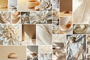 Neutral aesthetic - 255 images, a Beauty & Fashion Photo by Handmadefont (Thumbnail 9 of 31)