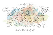 Beauty Angelique Script, a Script Font by Thirtypath Studio (Thumbnail 6 of 7)