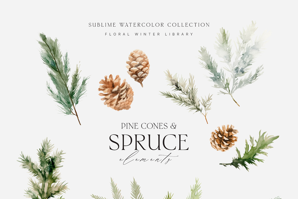 FLORAL WINTER BOX Watercolor Bundle, a Seasonal Illustration by Muse Artist (Photo 85 of 95)