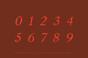 Ten Pounds, A Hand-Drawn Font, a Serif Font by Up Up Creative (Thumbnail 6 of 10)