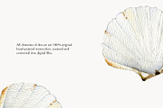 Watercolor Cooking Clipart, Fish., an Object Graphic by NiKO (Thumbnail 6 of 7)