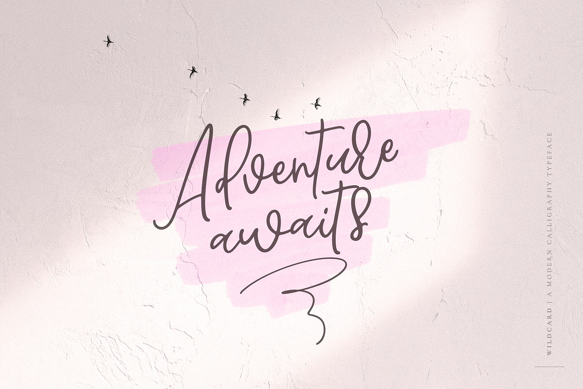 Wildcard | Modern Calligraphy Font preview 5