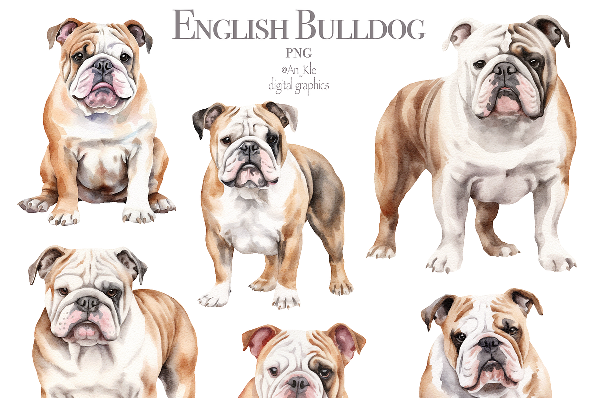 English Bulldog, an Animal Illustration by TheCuteShop (Photo 2 of 3)