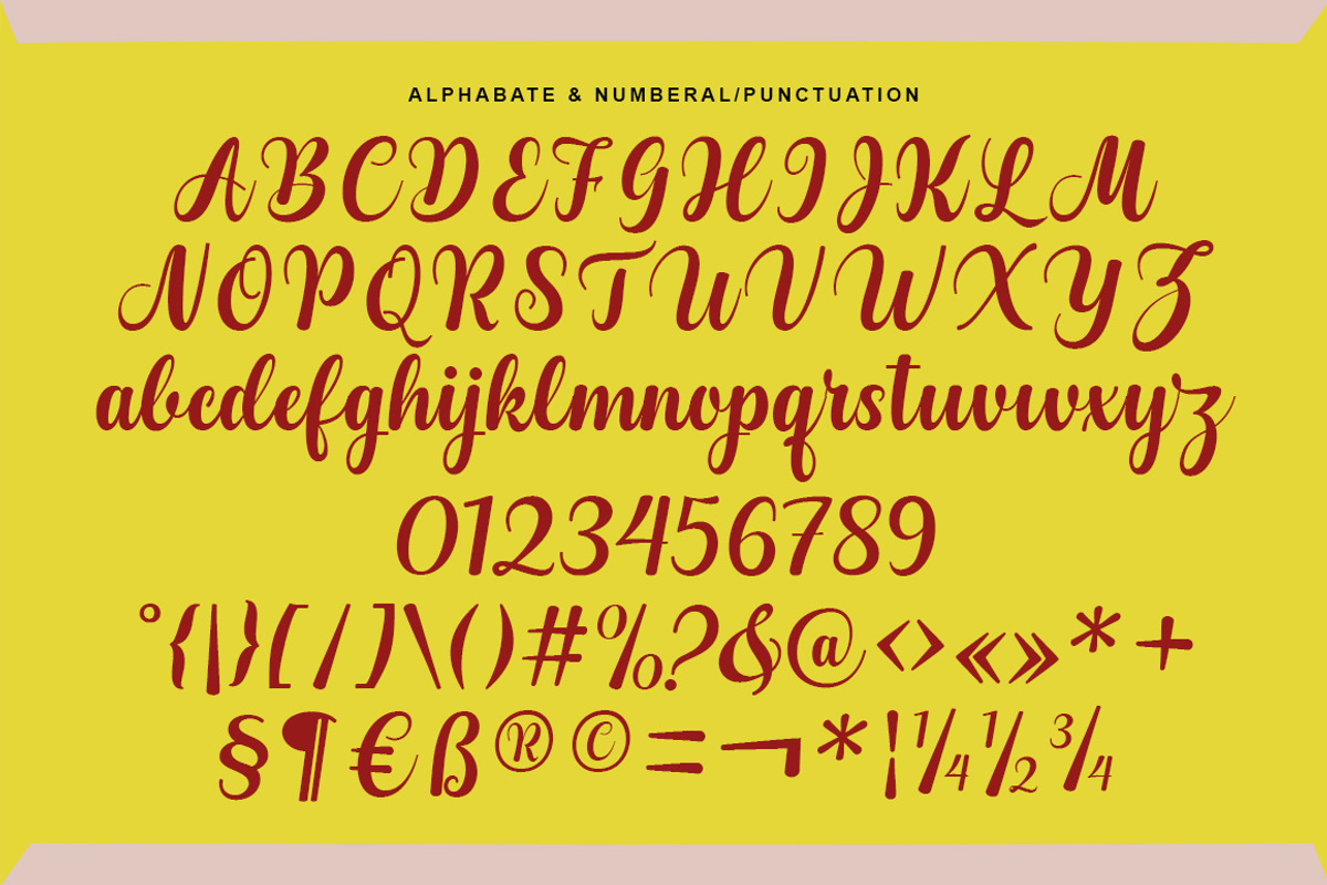 Kaydon, a Script Font by Gatype (Photo 10 of 10)