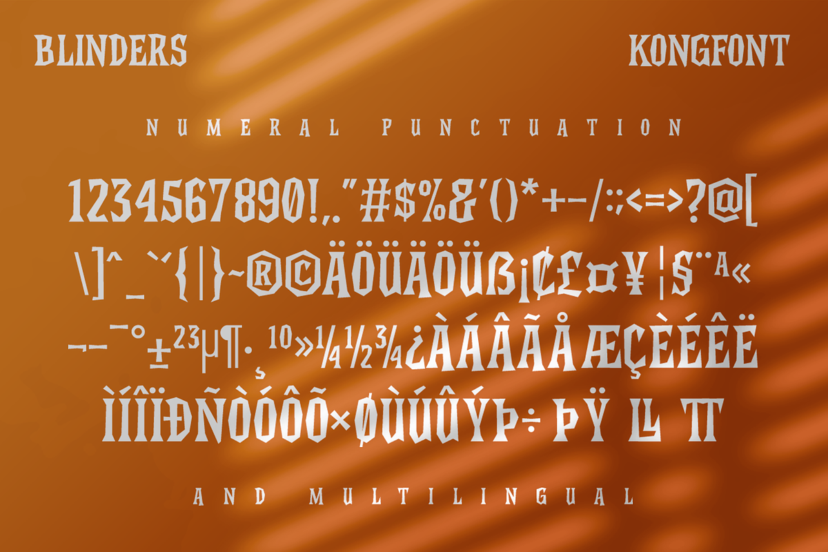 Blinders - Display Serif Font, a Serif Font by overlaytemplates (Photo 5 of 5)