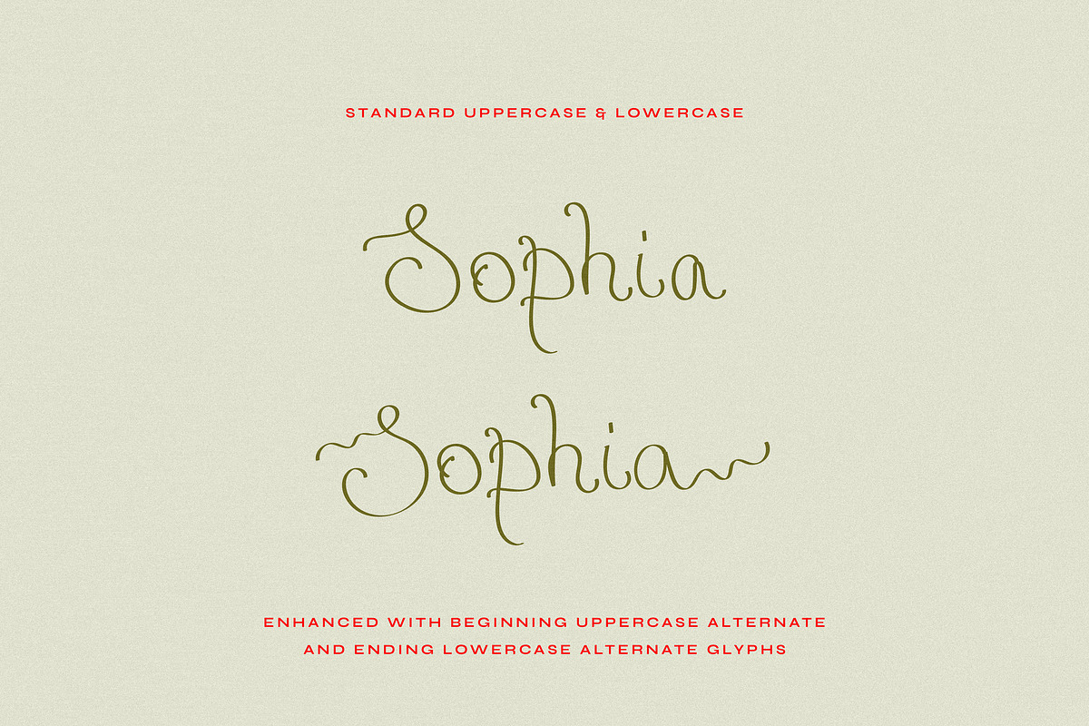 Delicate Ribbons // Quirky Script, a Handwritten Font by PeachCreme (Photo 9 of 9)