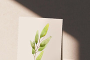 Watercolor eucalyptus greenary, a Graphic by Olesya Morokhovets (Thumbnail 4 of 4)
