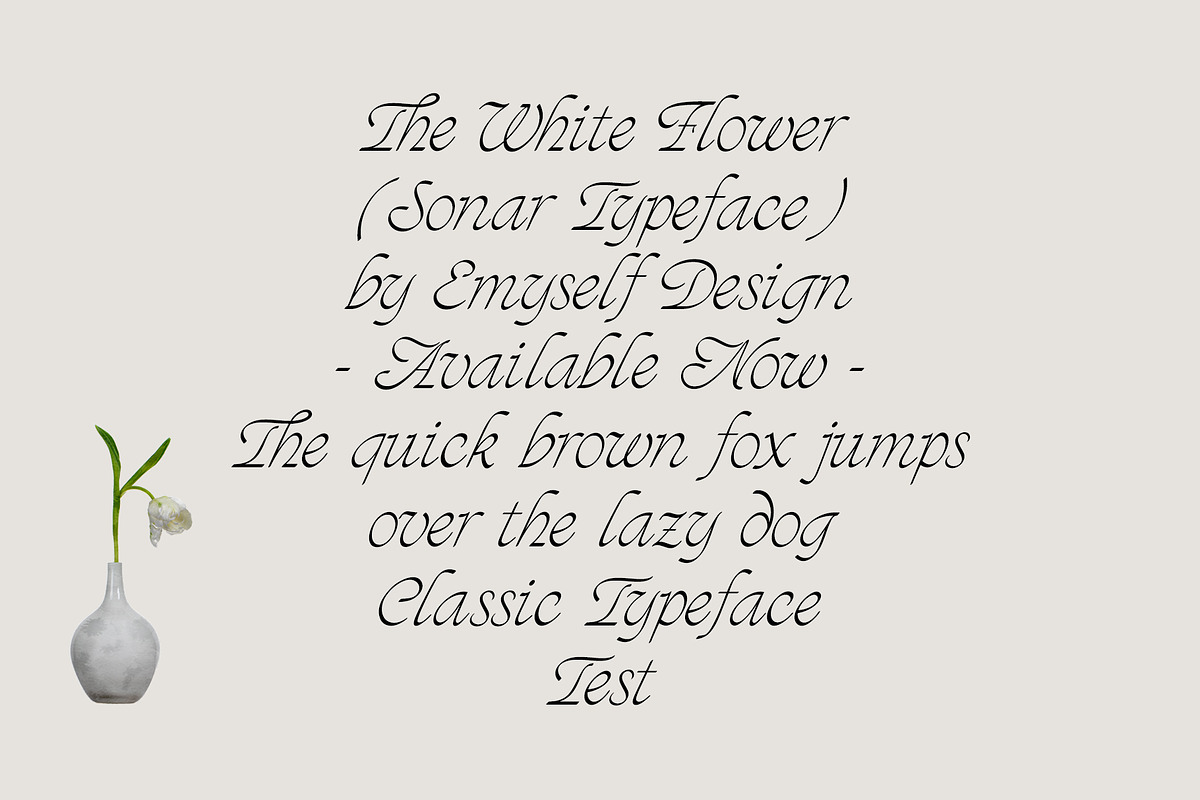 ED - Sonar Typeface, a Script Font by Emyself Design (Photo 2 of 12)
