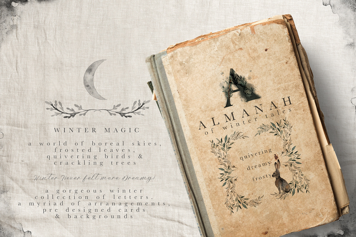 Frostbound - Winter Wonderings Set, an Object Graphic by Isabelle Salem (Photo 2 of 12)