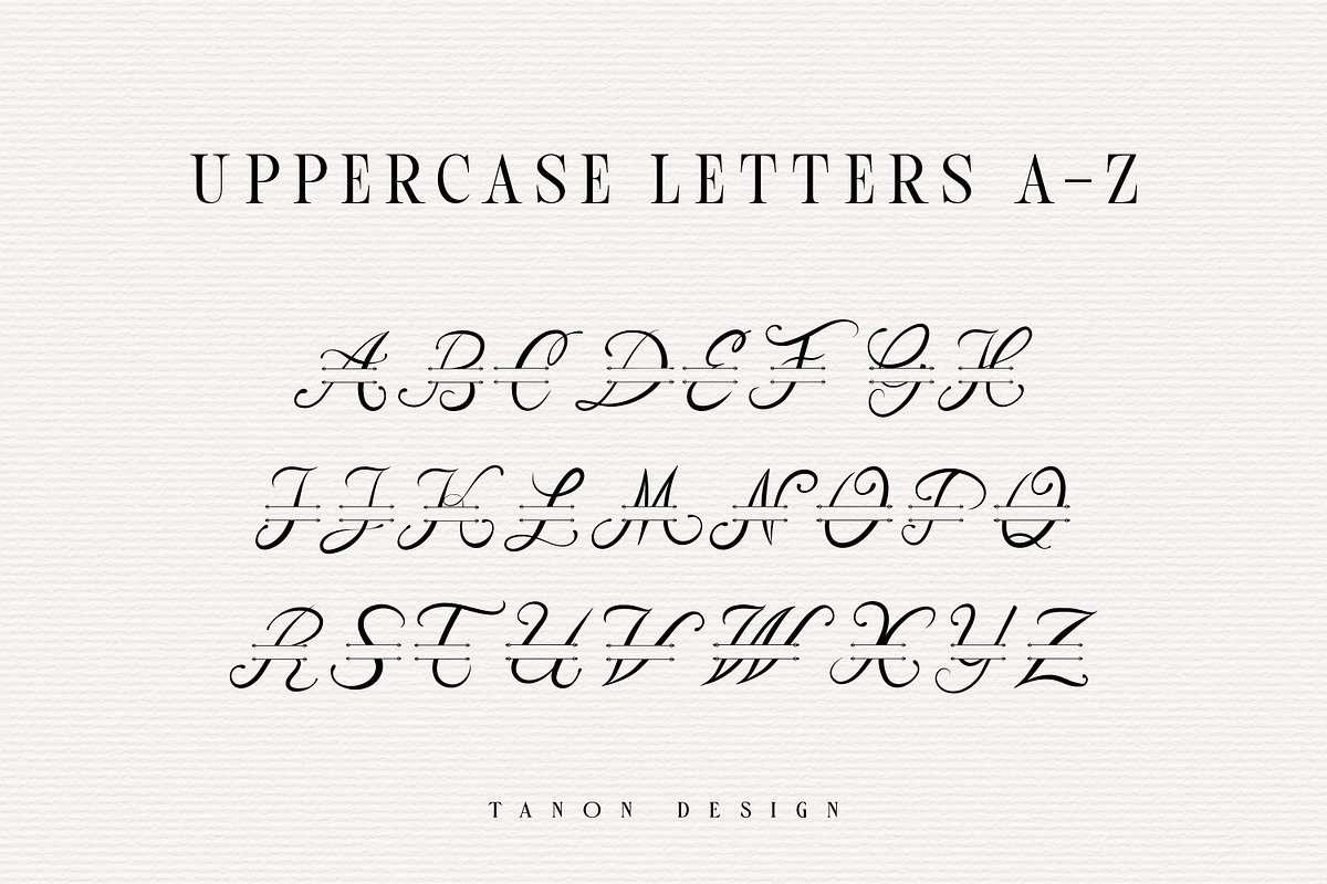 Alogoda Monogram font, luxury brand, a Script Font by Tanondesign (Photo 4 of 4)