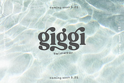 Magic Hours | Modern Serif Font, a Serif Font by KA Designs (Thumbnail 16 of 17)