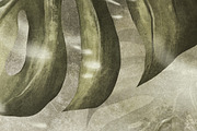Wallpaper Tropical Monstera Leaves, a Wallpaper Graphic by apollinariia_shop (Thumbnail 3 of 11)