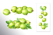 Amber Gooseberry. Watercolor set, a Food Illustration by Daria Ustiugova (Thumbnail 4 of 23)