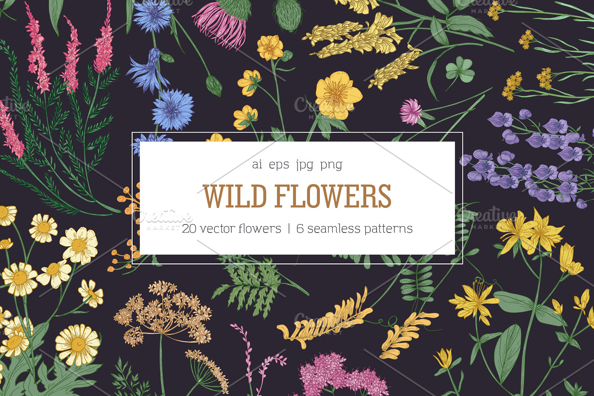 Wild flowers,herbs,herbaceous plants, a Texture Illustration by Good Studio (Photo 1 of 22)