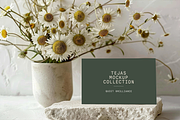 Tejas Mockup Collection, a Mac Mockup by Studio Santosha (Thumbnail 7 of 12)