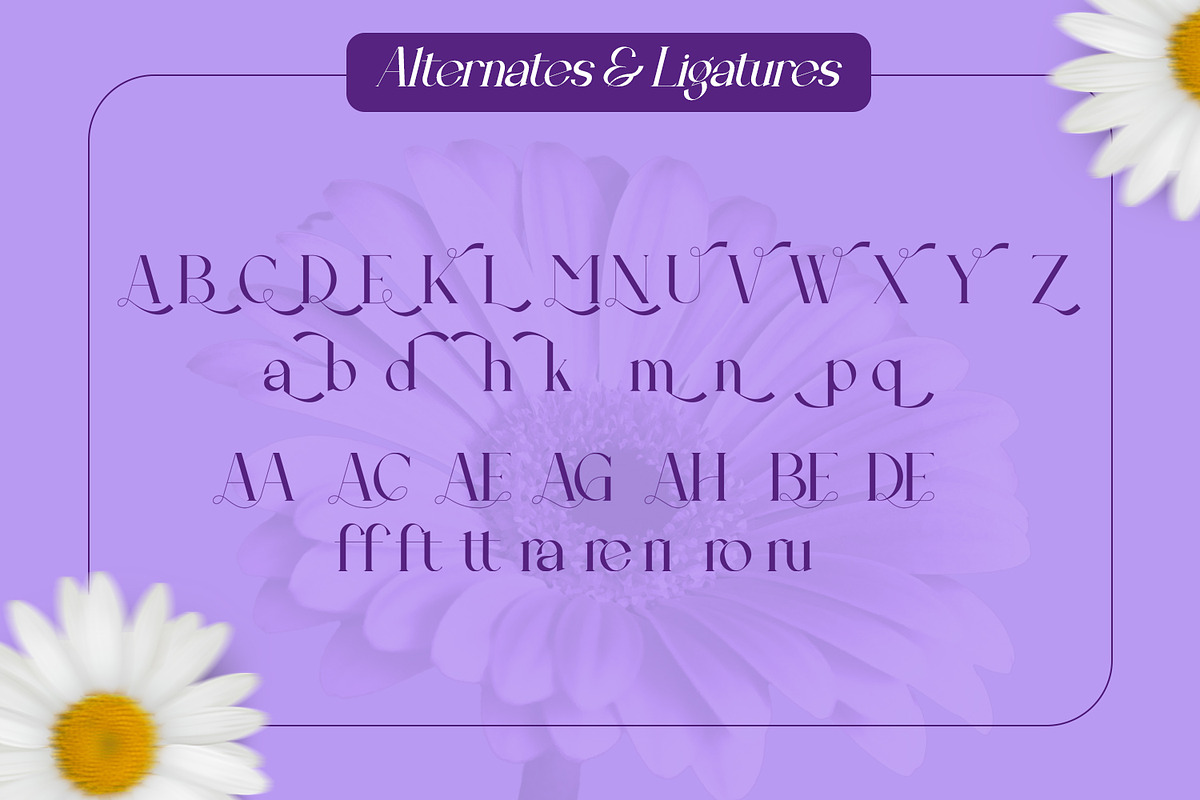 Eclime, a Serif Font by Rishsketch (Photo 11 of 12)