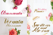alamanda font, a Script Font by Mariyana (Thumbnail 1 of 6)
