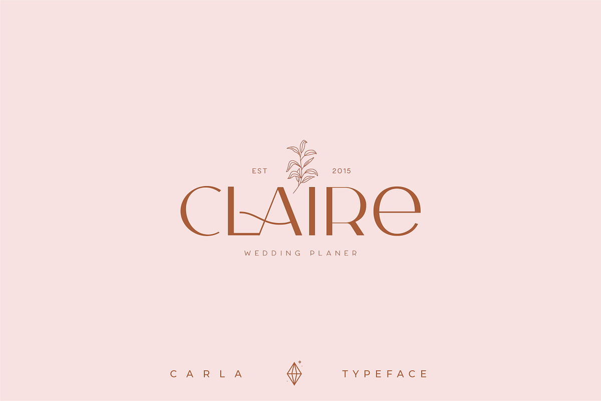 Carla Sans - Elegant Typeface, a Sans Serif Font by Creative Corner (Photo 13 of 26)