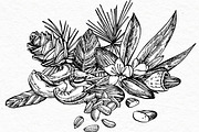 Nuts and snacks, a Food Illustration by Ann Astro (Thumbnail 9 of 24)