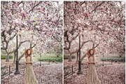 20 Lightroom Presets Spring Time p1, a Preset Add-On by PerfectStudioPresets (Thumbnail 9 of 10)