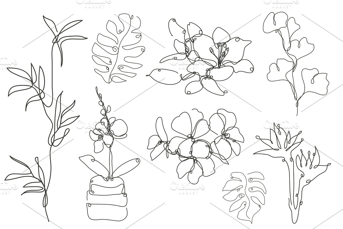 71 Flowers Continuous Line Set, a Decorative Illustration by Sunset&Sea Design (Photo 7 of 8)