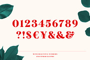 Mogan Serif Font + Extras, a Font by Heritage Type Co. (Thumbnail 13 of 16)