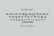 The Wild Petal | Textured Font, a Script Font by elvinova (Thumbnail 12 of 12)