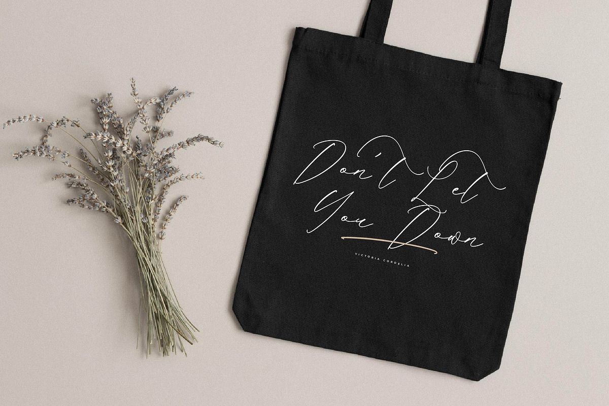 Victoria Cordeline A Modern Font, a Script Font by Storytype Studio (Photo 11 of 15)