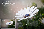 Weather Overlay Bundle, an Object Graphic by Paper Farms (Thumbnail 9 of 26)