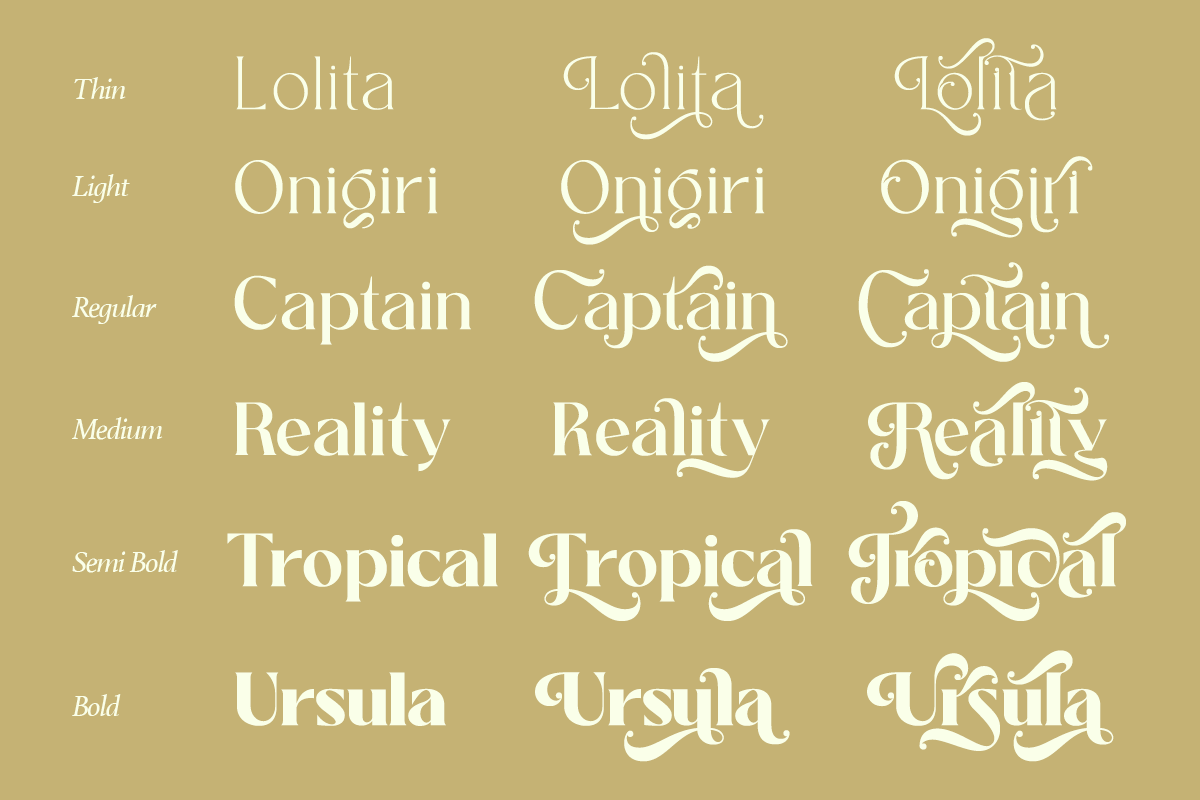 Salitia - 6 Font and Swash, a Serif Font by Dharmas Foundry (Photo 6 of 16)