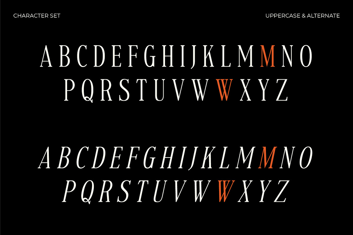 Voracity - Serif Display Font, a Serif Font by Brainwaves.Studio (Photo 3 of 9)