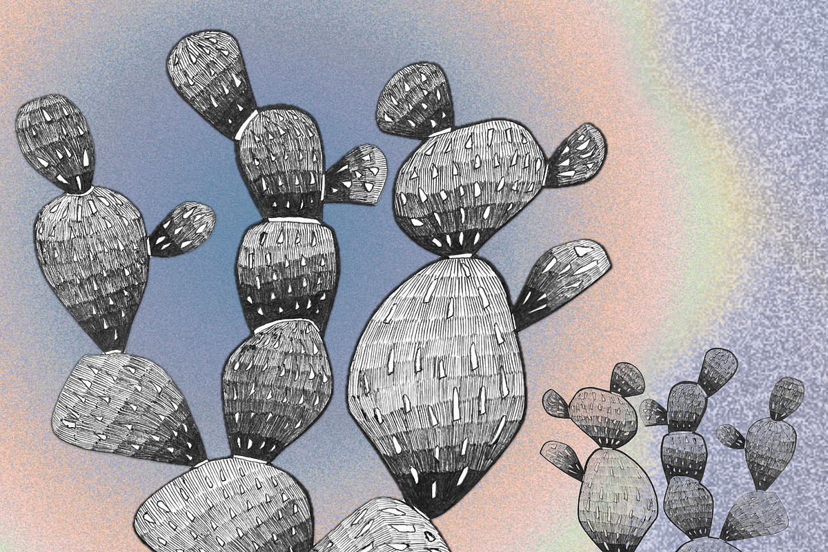 Desert Cowgirl Pen + Ink clipart, an Object Illustration by Eryn Rose Design (Photo 6 of 17)