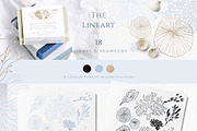 Ocean Memories Underwater Collection, an Animal Illustration by beehouse studio (Thumbnail 6 of 12)