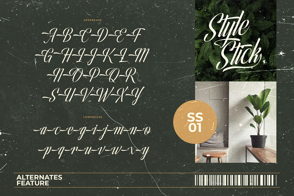 Olivelifes Script Font, a Script Font by alit design (Photo 4 of 15)