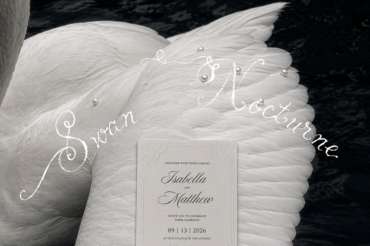 Swan Nocturne Editorial Mockups, an Advertising Mockup by Muse Mockups (Photo 9 of 12)