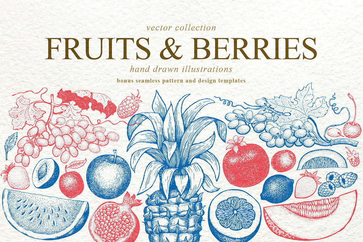 Fruits&Berries Vector Collection, a Food Illustration by Lubov Illustrations Shop (Photo 1 of 6)