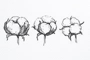 Hand drawn cotton set, a Graphic by Epine (Thumbnail 2 of 3)