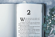 Storyteller Serif Font w Pretty Caps, a Serif Font by Storyteller Design (Thumbnail 4 of 12)