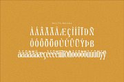 Dreavolt A Serif Display Font, a Serif Font by Storytype Studio (Thumbnail 14 of 15)