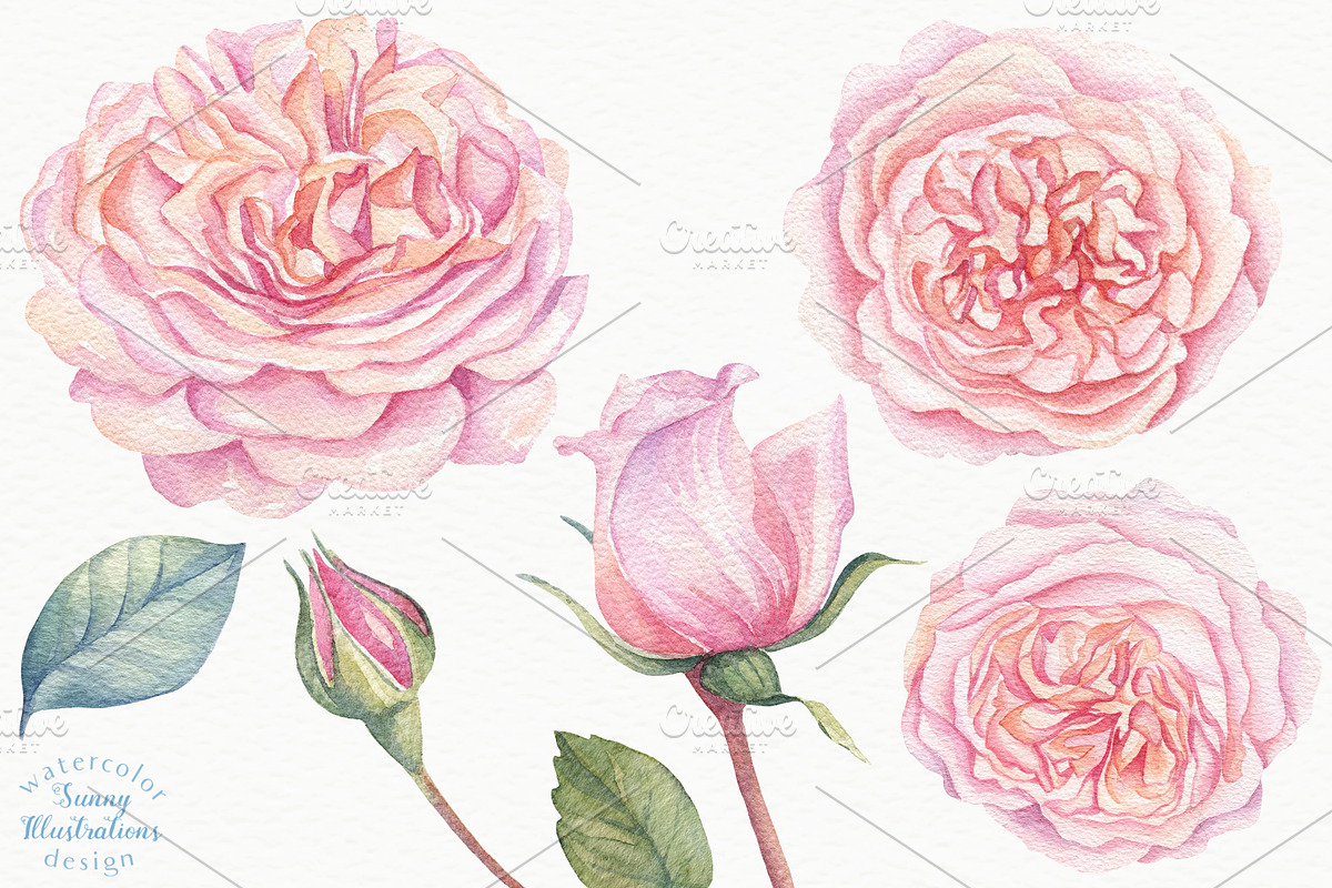Watercolor Rose Garden, a Decorative Illustration by Irina Diasli (Photo 3 of 9)
