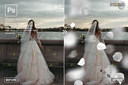 White Rose Petals photo overlays, an Object Graphic by 2SUNS (Thumbnail 6 of 9)